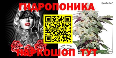крисы Усть-Джегута