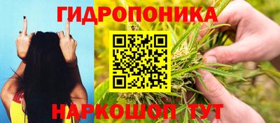 a pvp Усть-Илимск